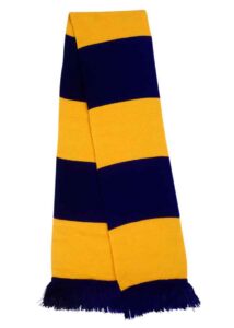 Result Team Scarf - Navy / Gold