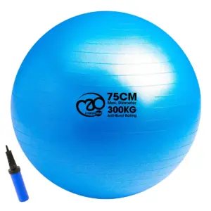 Fitness Mad Anti-Burst 75cm Swiss Ball with Pump
